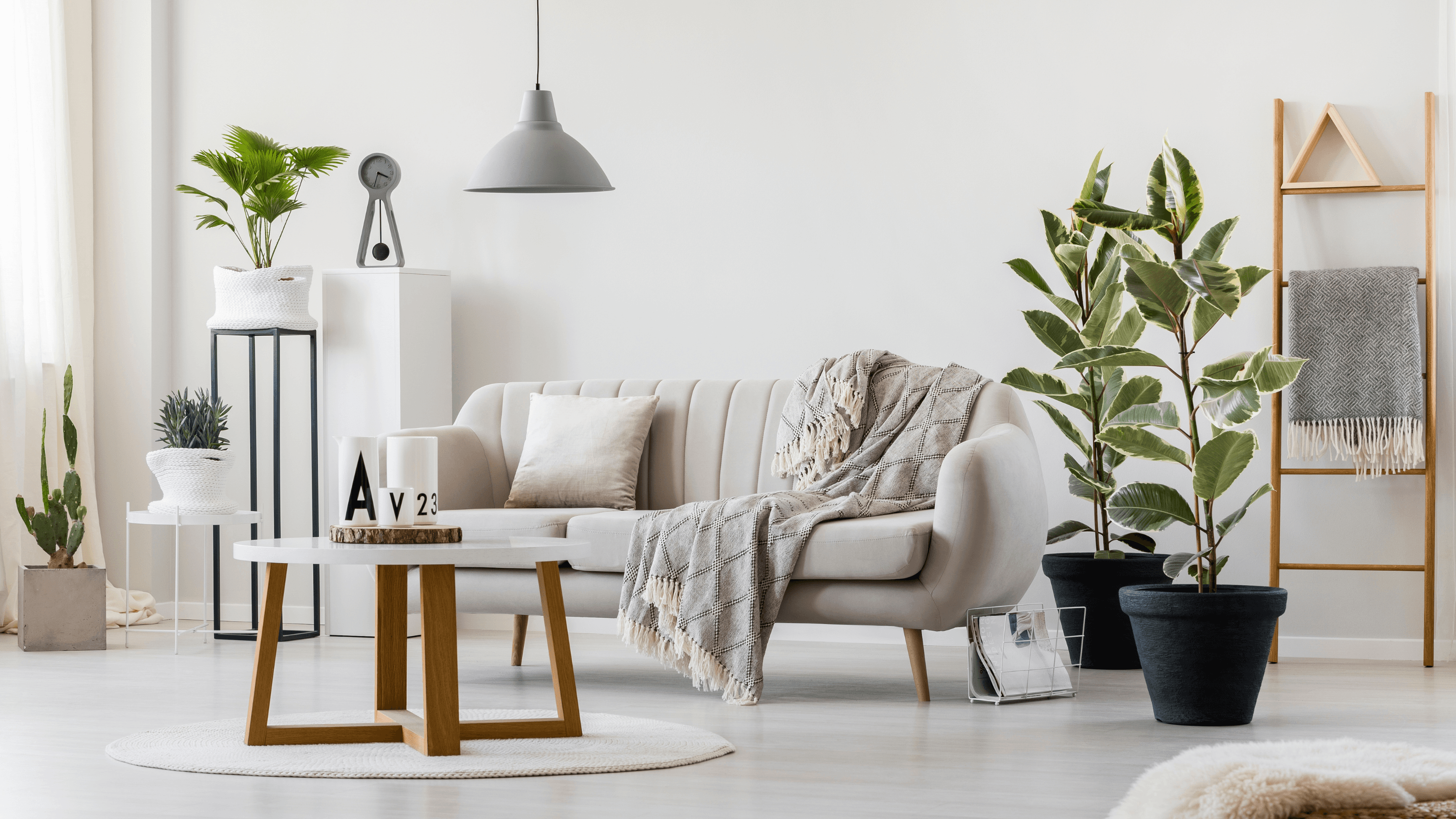 Interior  Design